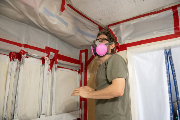 Best Black Mold Removal  in Beaverton, OR