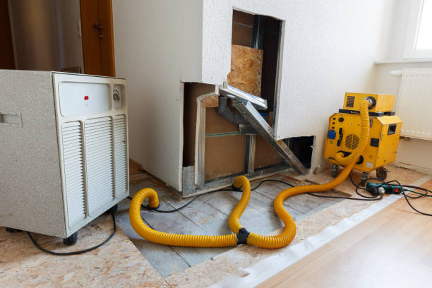Best Residential Mold Inspection & Testing  in Beaverton, OR