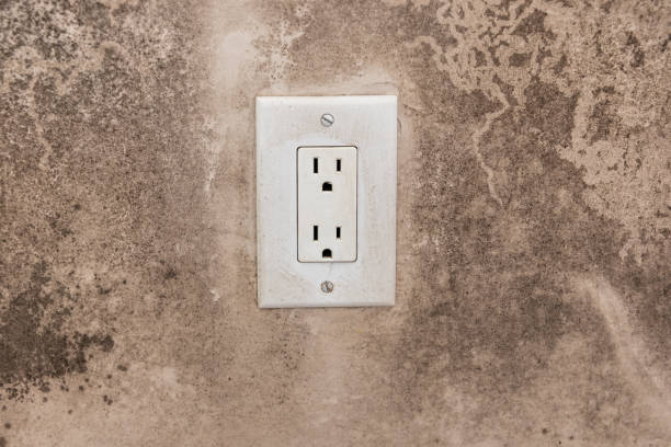 Best Commercial Mold Inspection  in Beaverton, OR